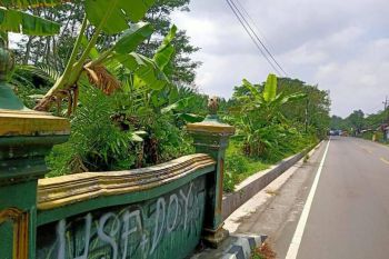 Istimewa Tepi Jalan Tempel Turi Ideal Untuk Usaha Dan Investasi