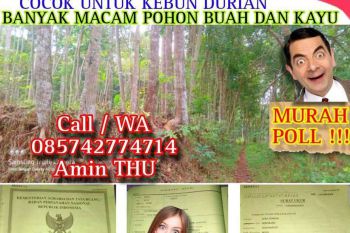 Harga Rp. 100 ribuan per meter², LUAS TANAH 2492 m² SHM READY, BANYAK MACAM BUAH