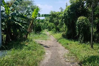 Dijual Tanah di Serang Cibarusah 13650 M2 SHM Muka 40 M Ckrg Sltn