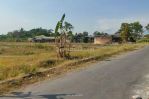 thumbnail-di-jual-tanah-shmp-dekat-pemda-sleman-dan-sch-jl-magelang-6