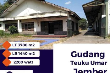 Disewakan Gudang Teuku Umar Multiple Room Jember – The EdGe