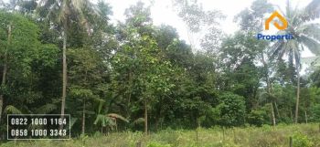 Investasi tanah kebun di atas Citra Garden City Buring Kota Malang