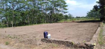 Utara Jl.godean jogja Jual Tanah Termurah Mangku Aspal