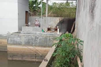 Kolam Ikan Murah Siap Pakai Bisa DiCicil Di Bandung