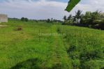 thumbnail-land-for-lease-tanah-10-are-di-pantai-nyanyi-canggu-0