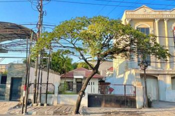 Sewa Rumah + Gudang Komersil Raya Kenjeran 1 Lantai Hadap Selatan