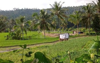 desa banyuatis good view