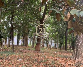 Kavling Luas Kotak Datar Siap Bangun  Di Lokasi Strategis