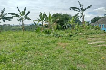 2 Jutaan m². Kavling Strategis Dekat Pasar Cibinong. Angsur 12x