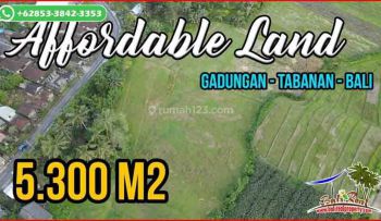 Dijual Murah 5,300 M2 Tanah Dgn Akses Jalan Mobil