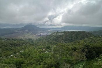 Cafe dan Resto di Penelokan Kintamani