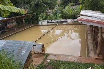 dijual tanah dan kolam murah lokasi padasuka atas cimenyan bandung harga nego