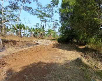 Kebun 1220 m2 bagus buat pertanian bisa beli setengahnya