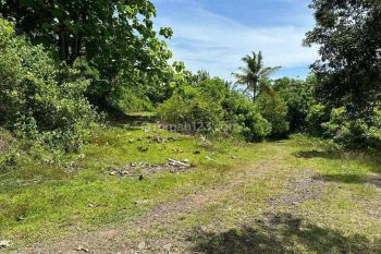 Dijual Tanah Kebun dekat Pantai SOKA Tabanan