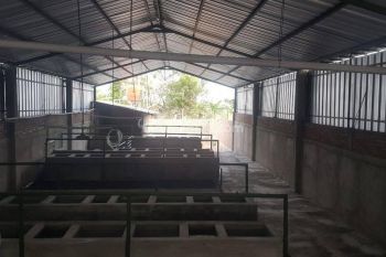 Di  Gudang Jl Panjunan Kalibaru Kec Tengah Tani