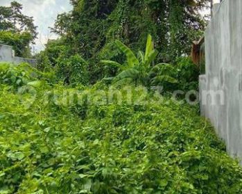 ( Harga TOTAL 875jt )Yuk siapa cepat Dia dapat tanah Los sungai Dan Jungle