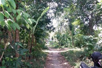 Dijual Tanah Luas 2.1HA Sanankulom Blitar