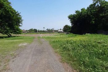 Tanah Luas 1,25h di Jl. Neglasari Tangerang