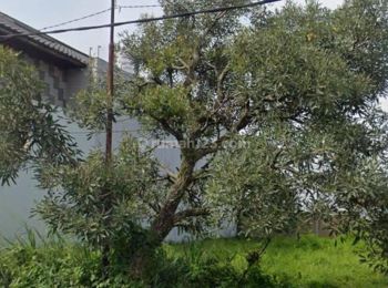 Dijual Kavling Setraduta