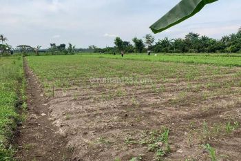 Area Wisata Candi Prambanan, Tanah Dijual Cocok Hunian