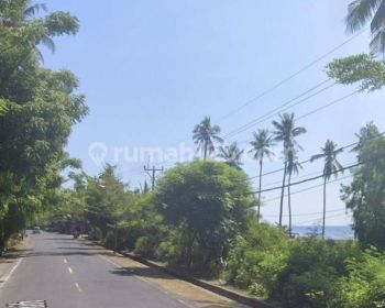 Tanah Beachfront Pinggir Jalan Singaraja Kubutambahan 49,35 Are