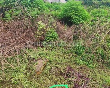 Dijual Kavling Murah Dago Resort Bandung Utara