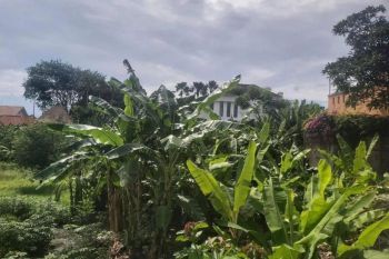 Tanah Umalas Lestari Kerobokan Bali