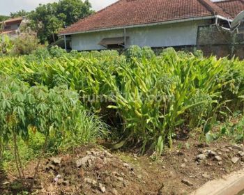 Tanah Tembalang Mulawarman Strategis Dekat Tembalang Undip