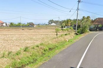 Disewakan Tanah Dekat Pantai Pasut Tibubiyu Tabanan 40 Are