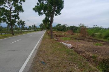 Cocok Untuk Usaha, Tanah Tepi Jl. Raya Blabak Magelang