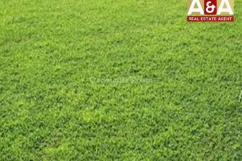 Dijual Tanah Wilayah Bali