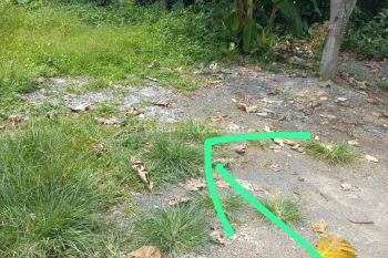 DI JUAL TANAH STRATEGIS DI TEMBALANG DEKAT UNDIP