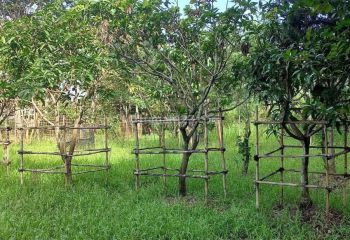 Tanah di TKI V, dekat pintu tol 6,9 hectare SHM