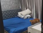 thumbnail-di-sewakan-apartemen-puri-mansion-2-kamar-tidur-furnished-7