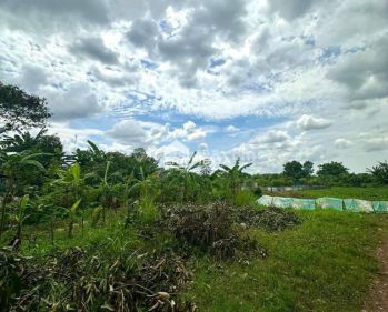 Jual Kavling Komersil Luas 1 Hektar SHM di Karawaci Tangerang