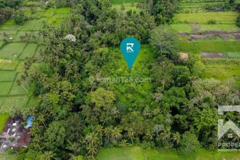 Land For Long Lease With Stunning Valley View In Pejeng Bali
