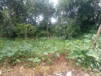 View Sawah Dan Kebun Luas 6,835 M2 di Selemadeg Barat