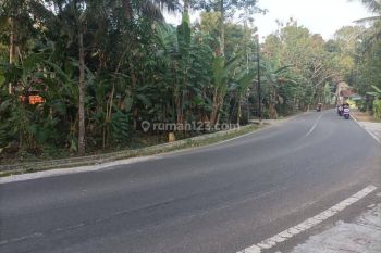 Tanah Dekat Exit Tol Jogja, Hanya 2 Juta, SHM Pekarangan