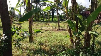 Rent Tanah: land beach front