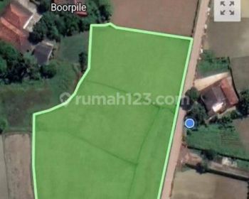 TANAH SAWAH, DESA BABAT, KEC LEGOK, TANGERANG, BANTEN