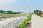 thumbnail-tanah-sawah-desa-babat-kec-legok-tangerang-banten-2