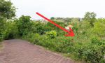 thumbnail-for-rent-a-plot-of-land-in-ungasan-near-melasti-beach-ij-124-7