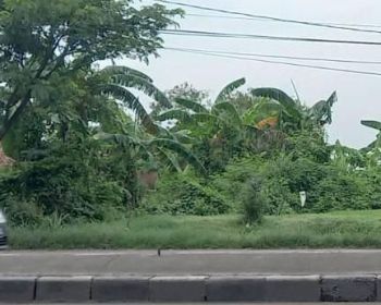 Tanah strategis pinggir jln pantura