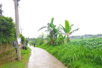 Dijual Tanah Kavling 1jt-an Di Green Parung, Bogor