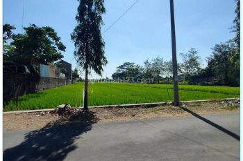 50 M Jl Utama Jogja Solo, Tanah Dijual Area Gerbang Tol Klaten