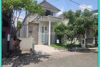 Kontrakan Minimalis Modern Siap Huni Tengah Kota