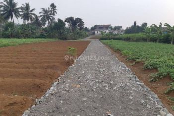 Tanah Siap bangun dekat kampus IPB Kp Kondang Bojong Jengkol