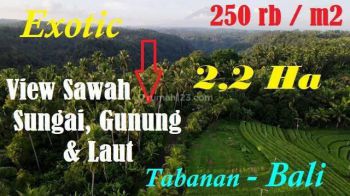 21,600 M2 Tanah Dijual Murah View Alami Akses Pinggir Jalan