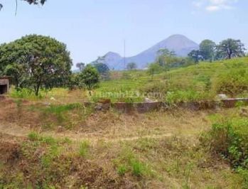 Tanah pacet murah viuw bagus nol jalan cor