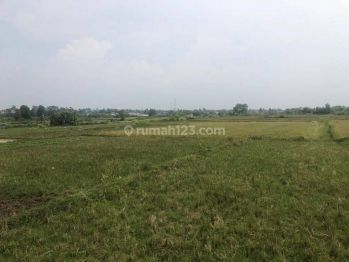 Dijual Tanah Zona Perumahan Cisoka Tangerang